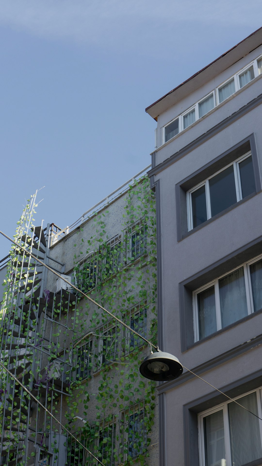 Modern Eco Renovation